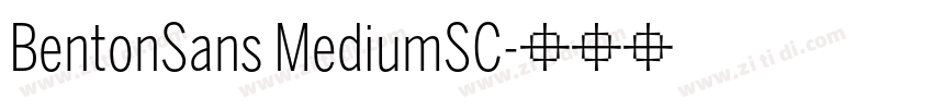 BentonSans MediumSC字体转换